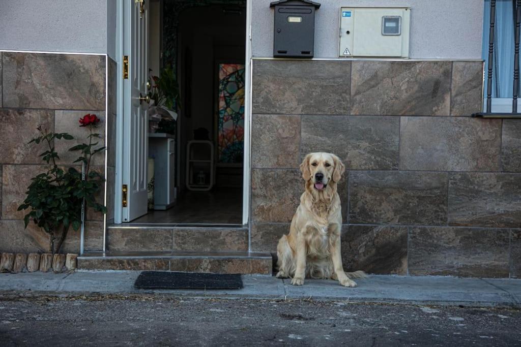 Vila MiraLeón Exteriér fotografie