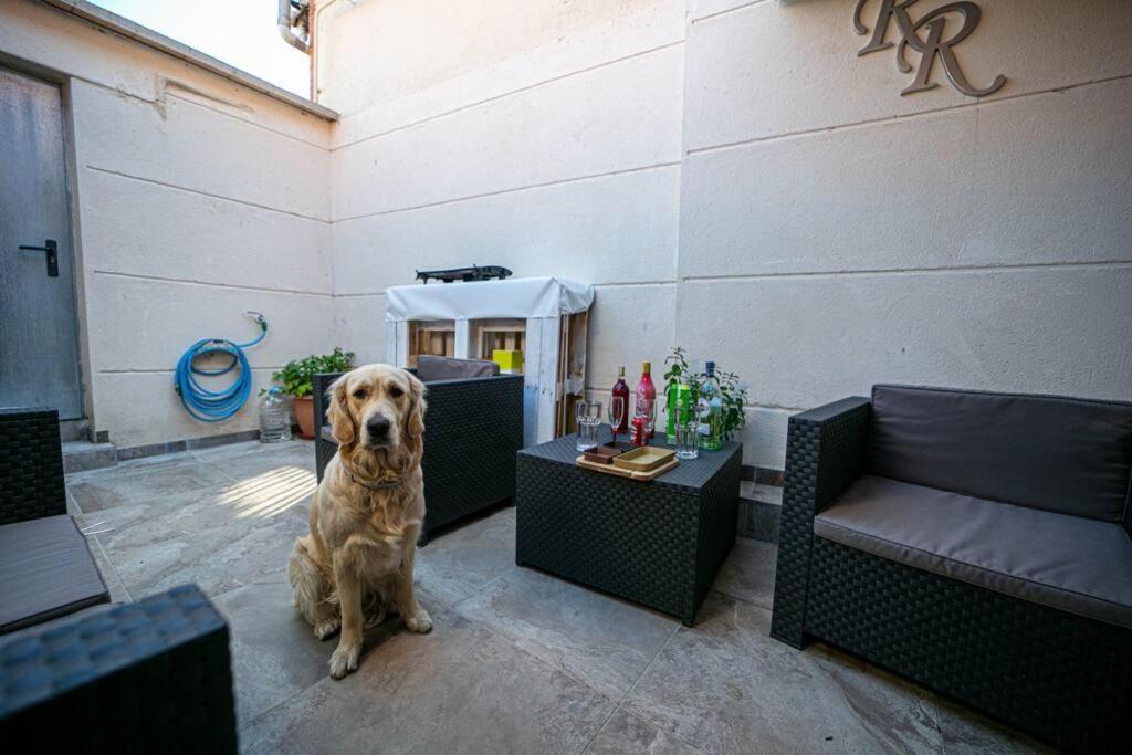 Vila MiraLeón Exteriér fotografie